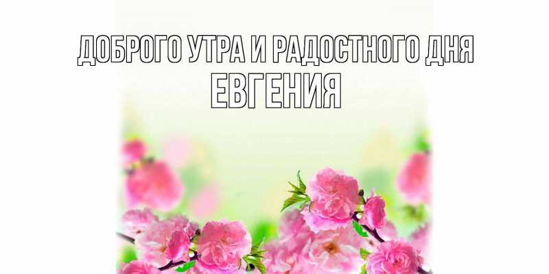 Картинка Доброго утра и радостного дня, Евгения