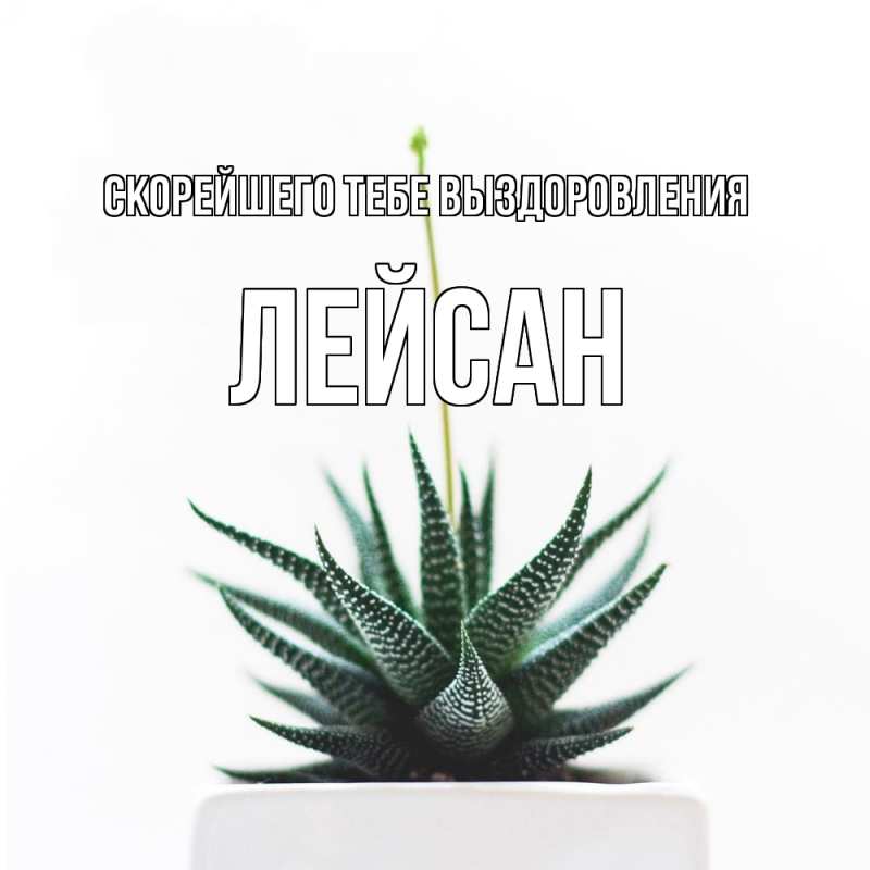 Картинка Скорейшего тебе выздоровления, Лейсан