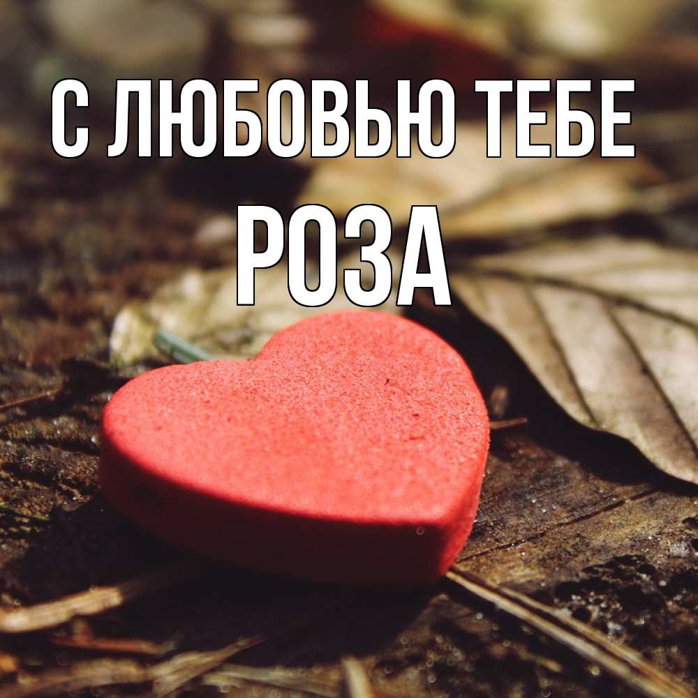 Открытка на каждый день с именем, Роза С любовью тебе листья деревье 4 Прикольная открытка с пожеланием онлайн скачать бесплатно 