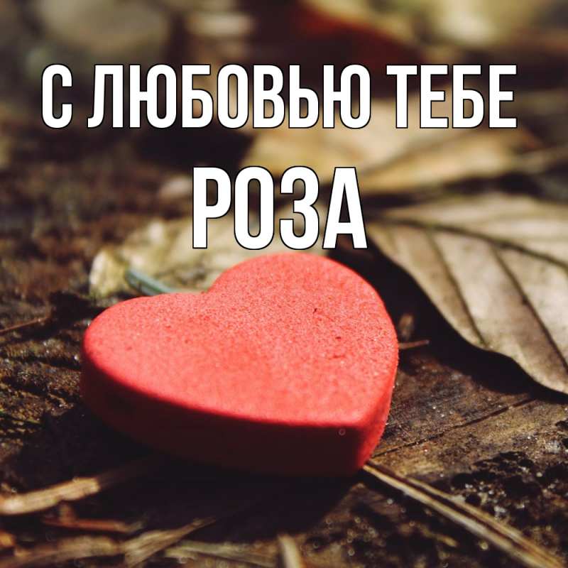 Картинка С любовью тебе, Роза