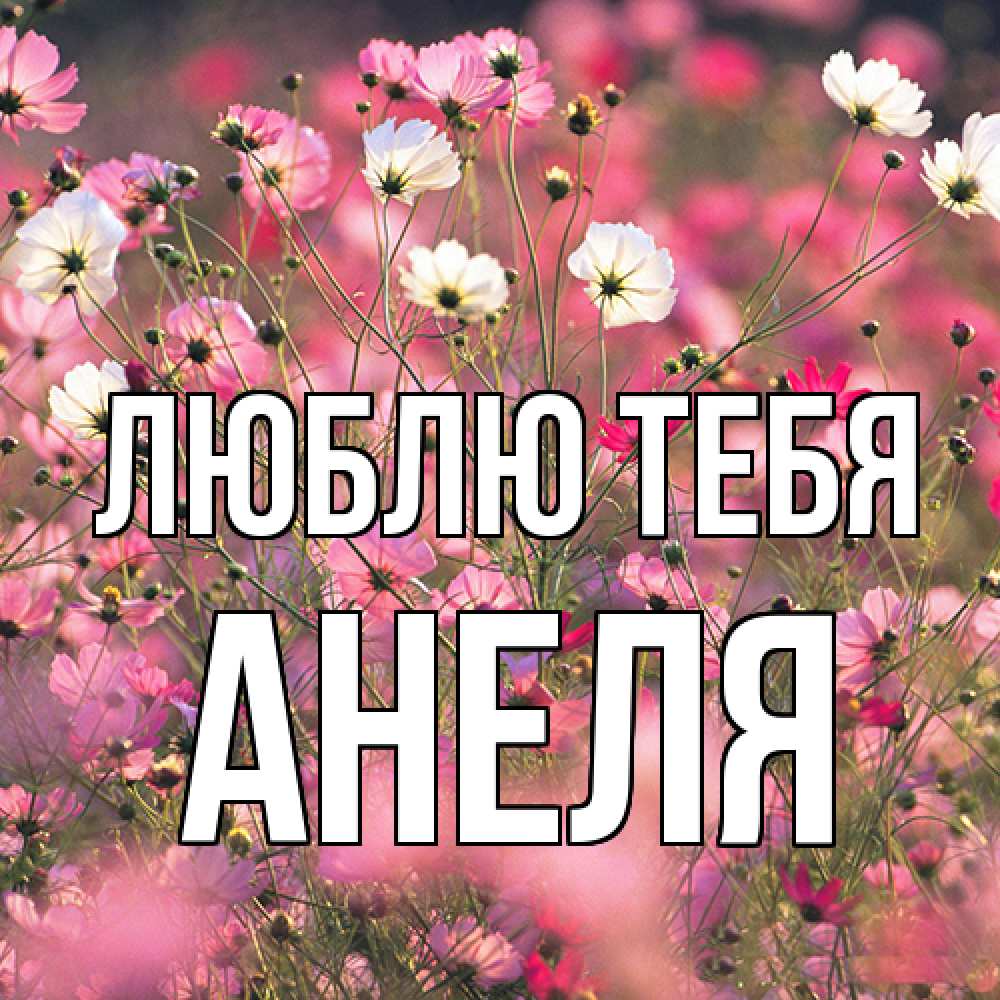 Открытка на каждый день с именем, Анеля Люблю тебя красиво 1 Прикольная открытка с пожеланием онлайн скачать бесплатно 