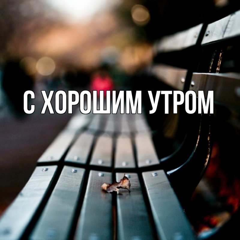 Картинка Скучашки, Дилара