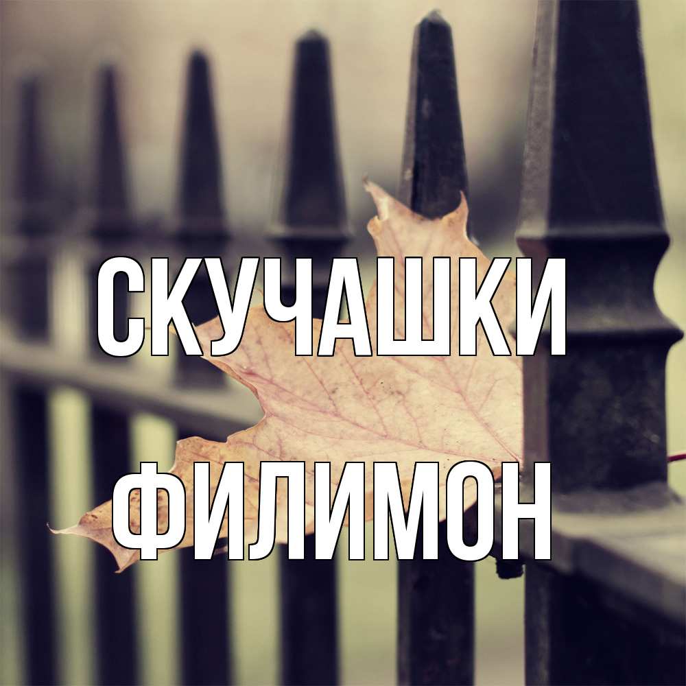 Открытка на каждый день с именем, Филимон Скучашки очень скучно Прикольная открытка с пожеланием онлайн скачать бесплатно 