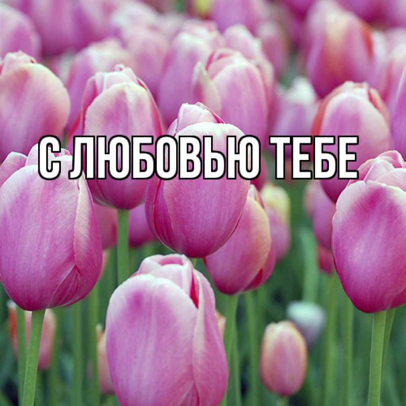 Картинка Люблю тебя, Аза