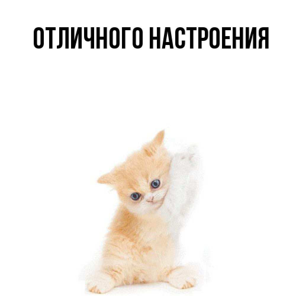 Открытка на каждый день с именем, Владислава Обнимашки я хочу очень скорее обнимаешек Прикольная открытка с пожеланием онлайн скачать бесплатно 