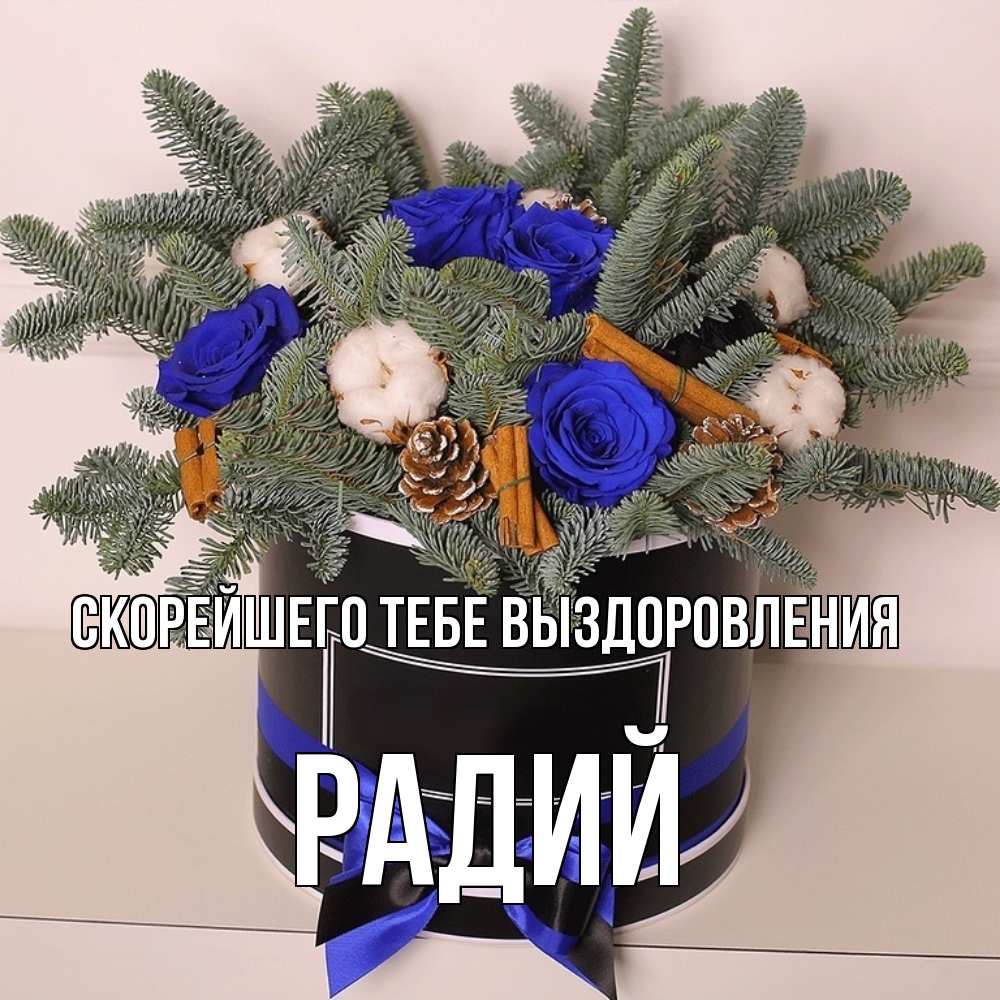 Открытка на каждый день с именем, Радий Скорейшего тебе выздоровления короче кто то загрузил эти шишки Прикольная открытка с пожеланием онлайн скачать бесплатно 