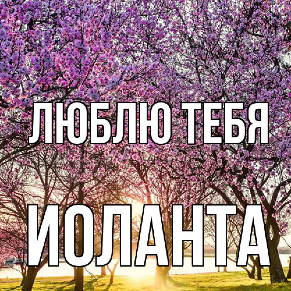 Открытка на каждый день с именем, Иоланта Люблю тебя международный женский день Прикольная открытка с пожеланием онлайн скачать бесплатно 