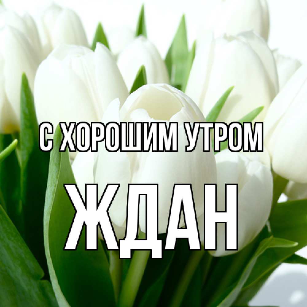 Открытка на каждый день с именем, Ждан С хорошим утром открытки на каждый день по именам Прикольная открытка с пожеланием онлайн скачать бесплатно 