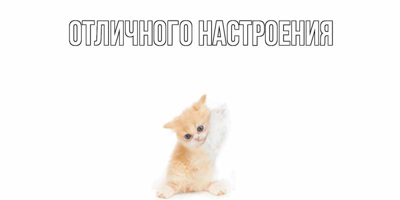 Картинка Не обижайся, Серафима