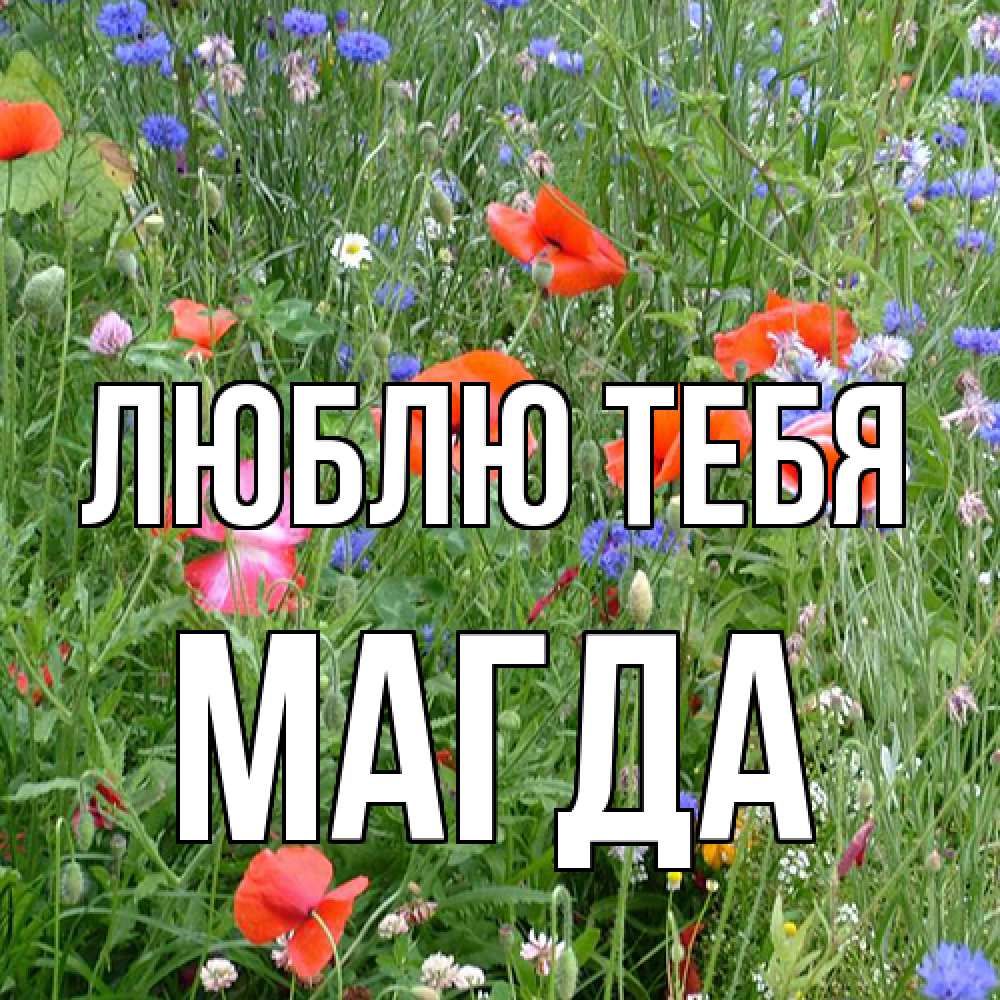 Открытка на каждый день с именем, Магда Люблю тебя международный женский день 4 Прикольная открытка с пожеланием онлайн скачать бесплатно 