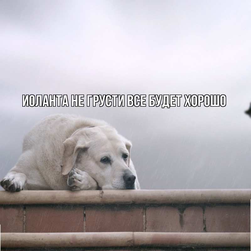 Картинка Не грусти, все будет хорошо, Иоланта