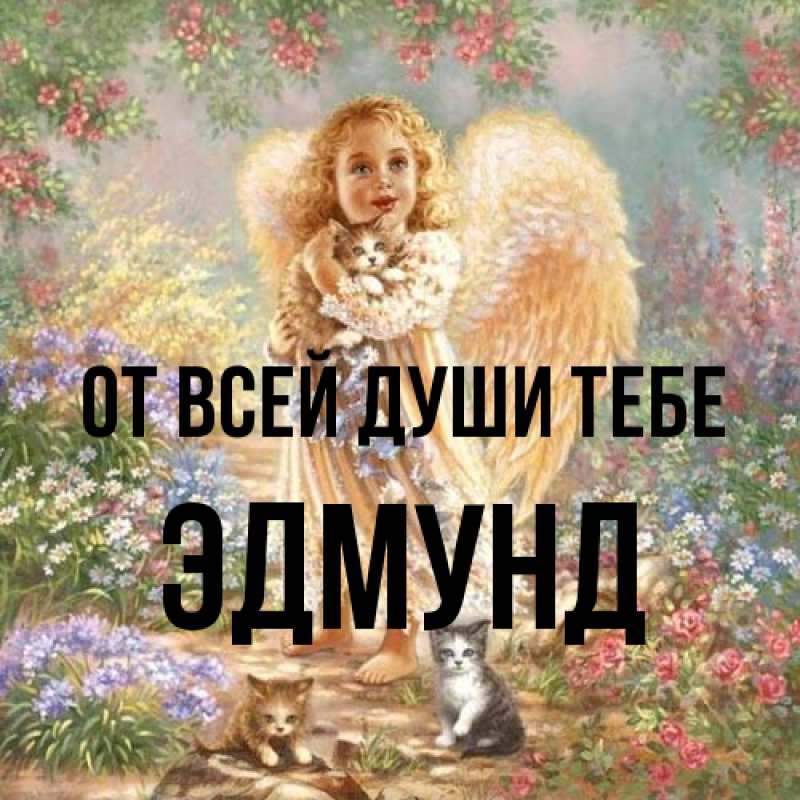 Картинка От всей души тебе, Эдмунд