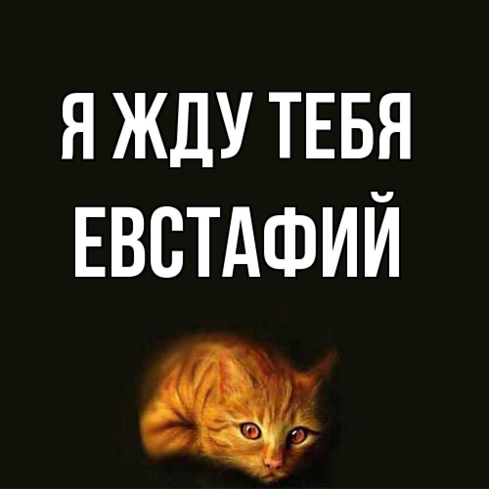 Открытка на каждый день с именем, Евстафий Я жду тебя рыжий Прикольная открытка с пожеланием онлайн скачать бесплатно 