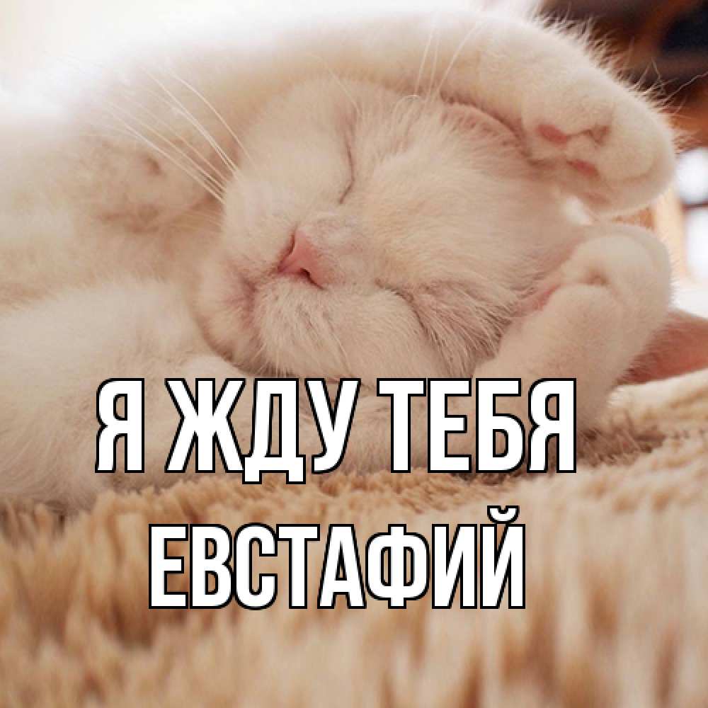 Открытка на каждый день с именем, Евстафий Я жду тебя для любимой девушки милота Прикольная открытка с пожеланием онлайн скачать бесплатно 