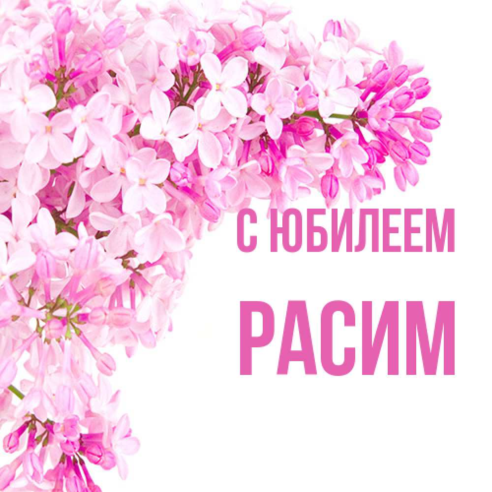Открытка на каждый день с именем, Расим C юбилеем Сирень на белом фоне Прикольная открытка с пожеланием онлайн скачать бесплатно 