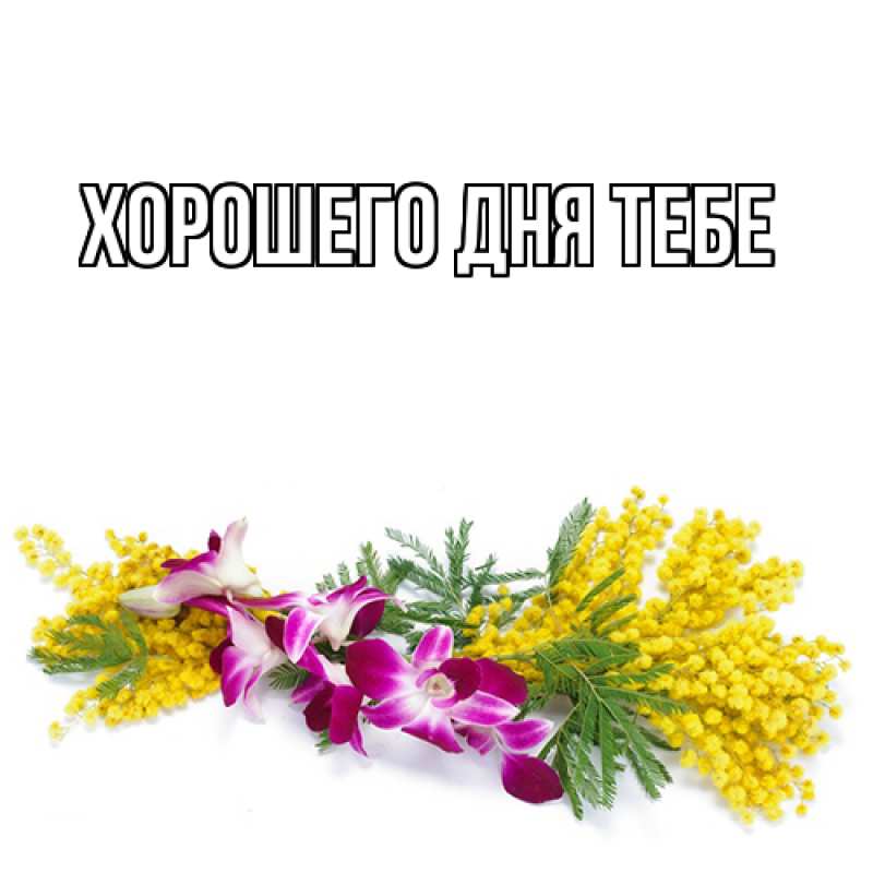 Картинка Люблю тебя, Гастон