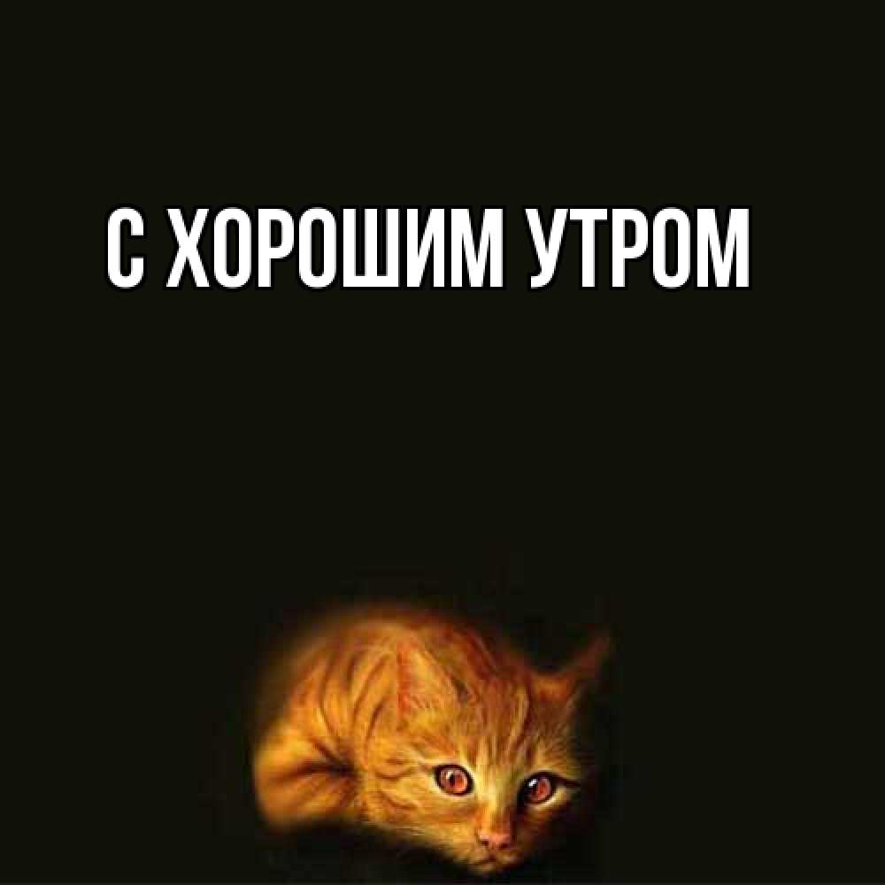 Открытка на каждый день с именем, Толя Я жду тебя рыжий Прикольная открытка с пожеланием онлайн скачать бесплатно 
