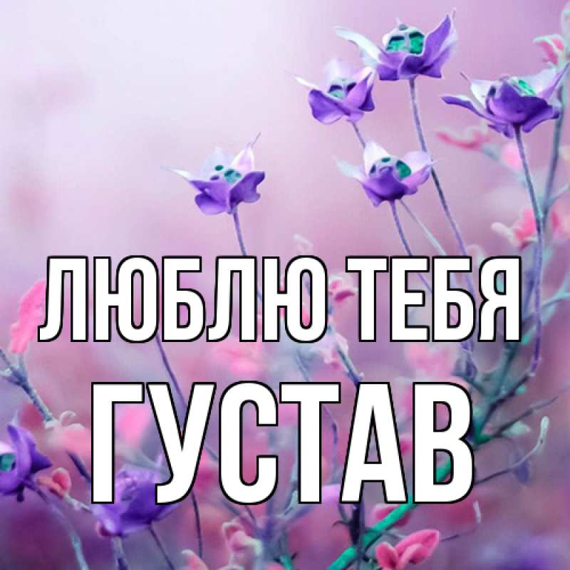Картинка Люблю тебя, Густав