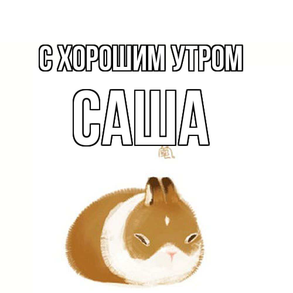 Открытка на каждый день с именем, Саша С хорошим утром хорошего утречка Прикольная открытка с пожеланием онлайн скачать бесплатно 