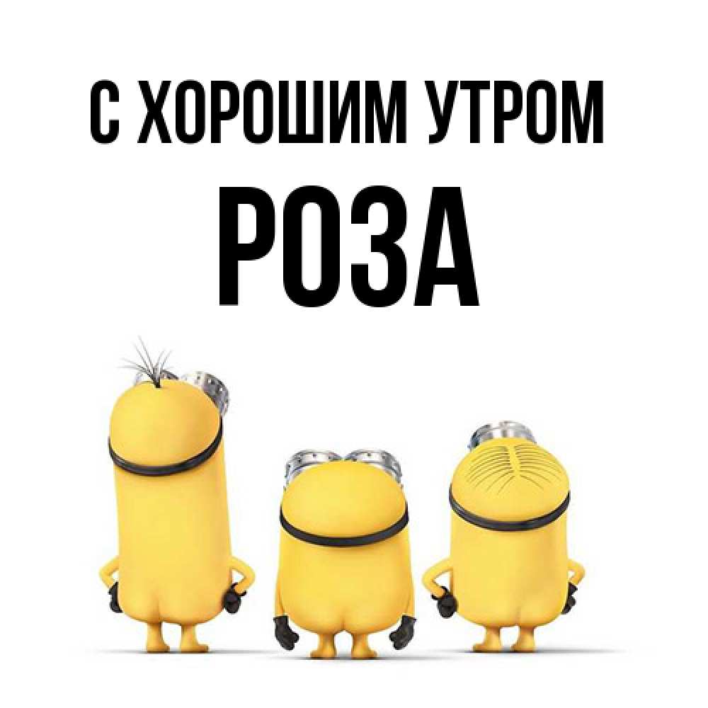 Открытка на каждый день с именем, Роза С хорошим утром подписать открытку онлайн бесплатно Прикольная открытка с пожеланием онлайн скачать бесплатно 