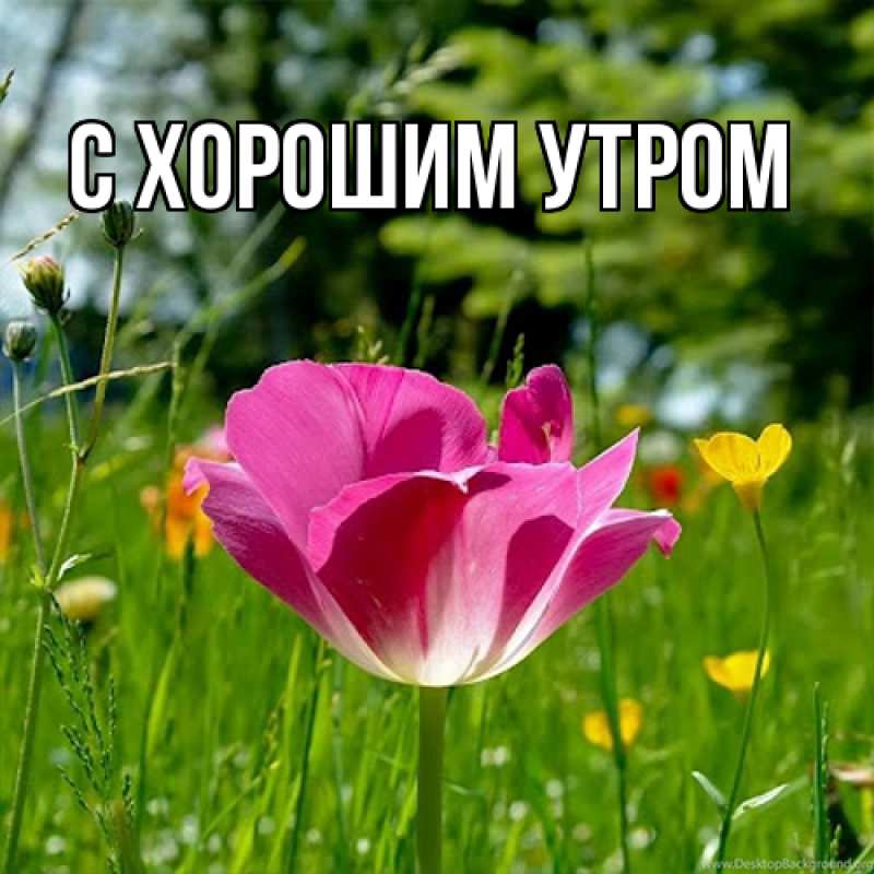 Картинка Люблю тебя, Лёня