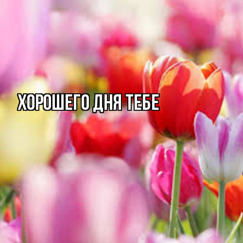 Картинка Люблю тебя, Измаил