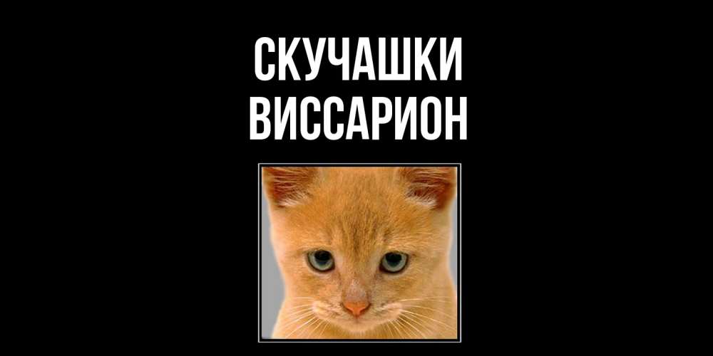 Открытка на каждый день с именем, Виссарион Скучашки открытки рыжий котенок скучает по тебе Прикольная открытка с пожеланием онлайн скачать бесплатно 