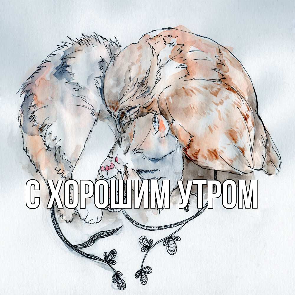 Открытка на каждый день с именем, Анеля Обнимашки можно быть вместе даже когда очень разные Прикольная открытка с пожеланием онлайн скачать бесплатно 