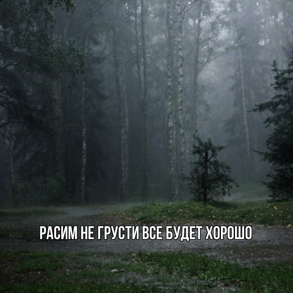 Открытка на каждый день с именем, Расим Не грусти все будет хорошо осень Прикольная открытка с пожеланием онлайн скачать бесплатно 