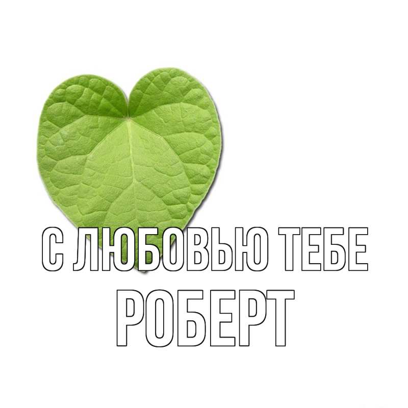 Картинка С любовью тебе, Роберт