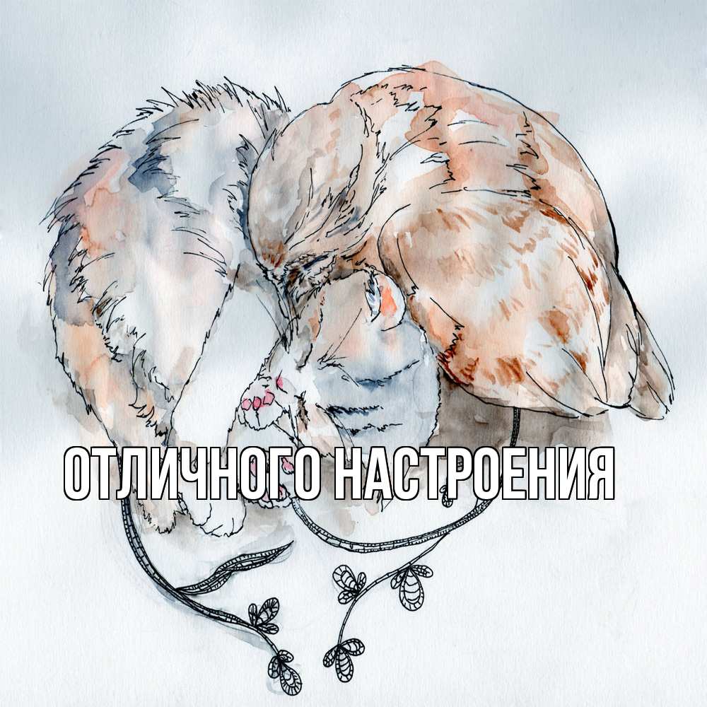 Открытка на каждый день с именем, Владислава Обнимашки можно быть вместе даже когда очень разные Прикольная открытка с пожеланием онлайн скачать бесплатно 