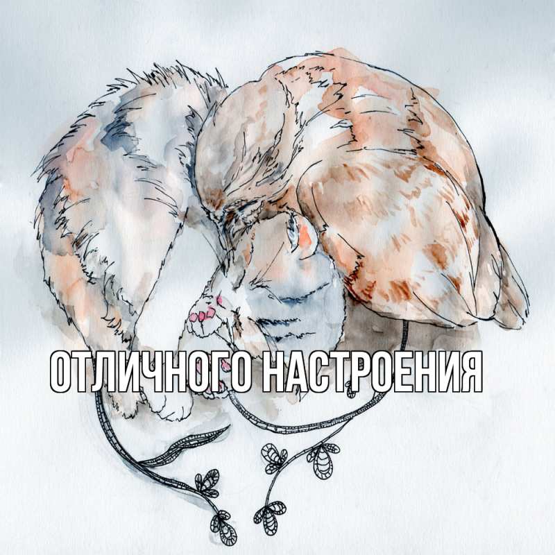 Картинка Обнимашки, Владислава