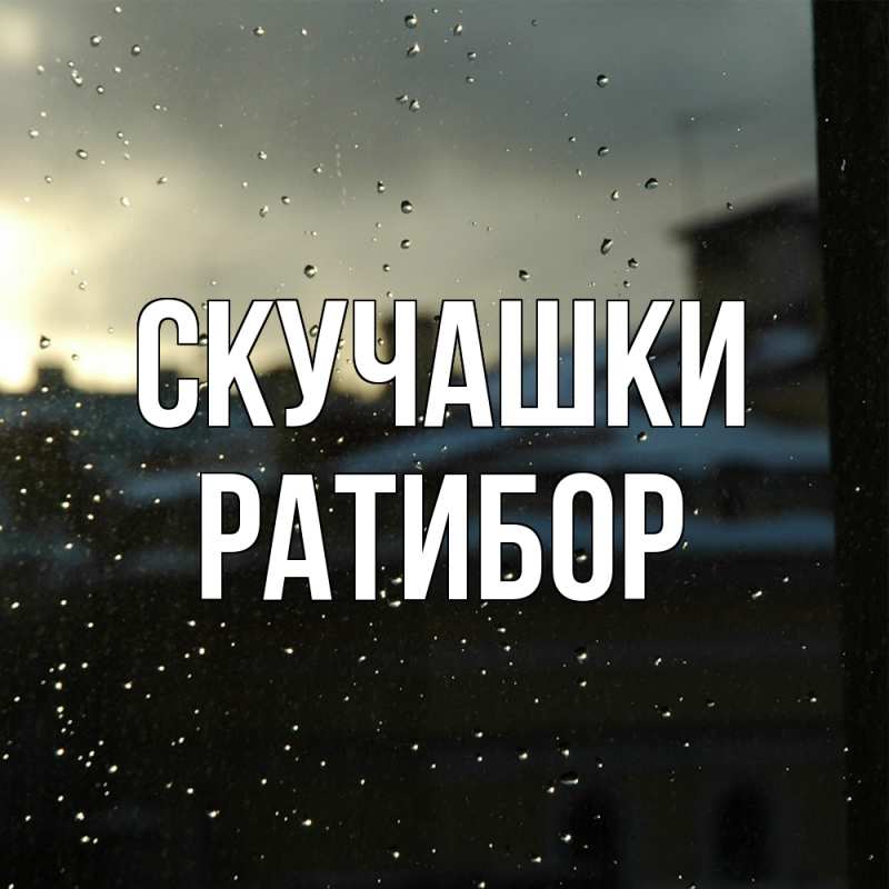 Картинка Скучашки, Ратибор