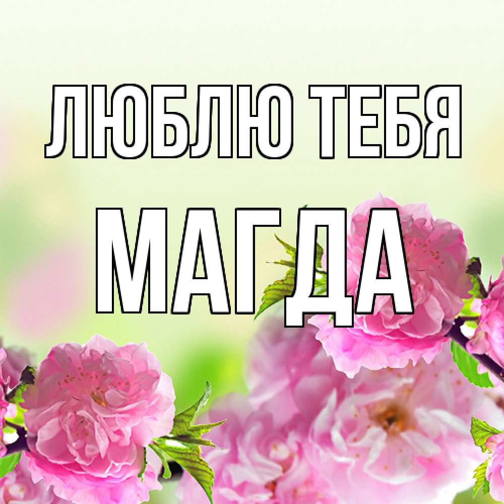 Открытка на каждый день с именем, Магда Люблю тебя цветы Прикольная открытка с пожеланием онлайн скачать бесплатно 