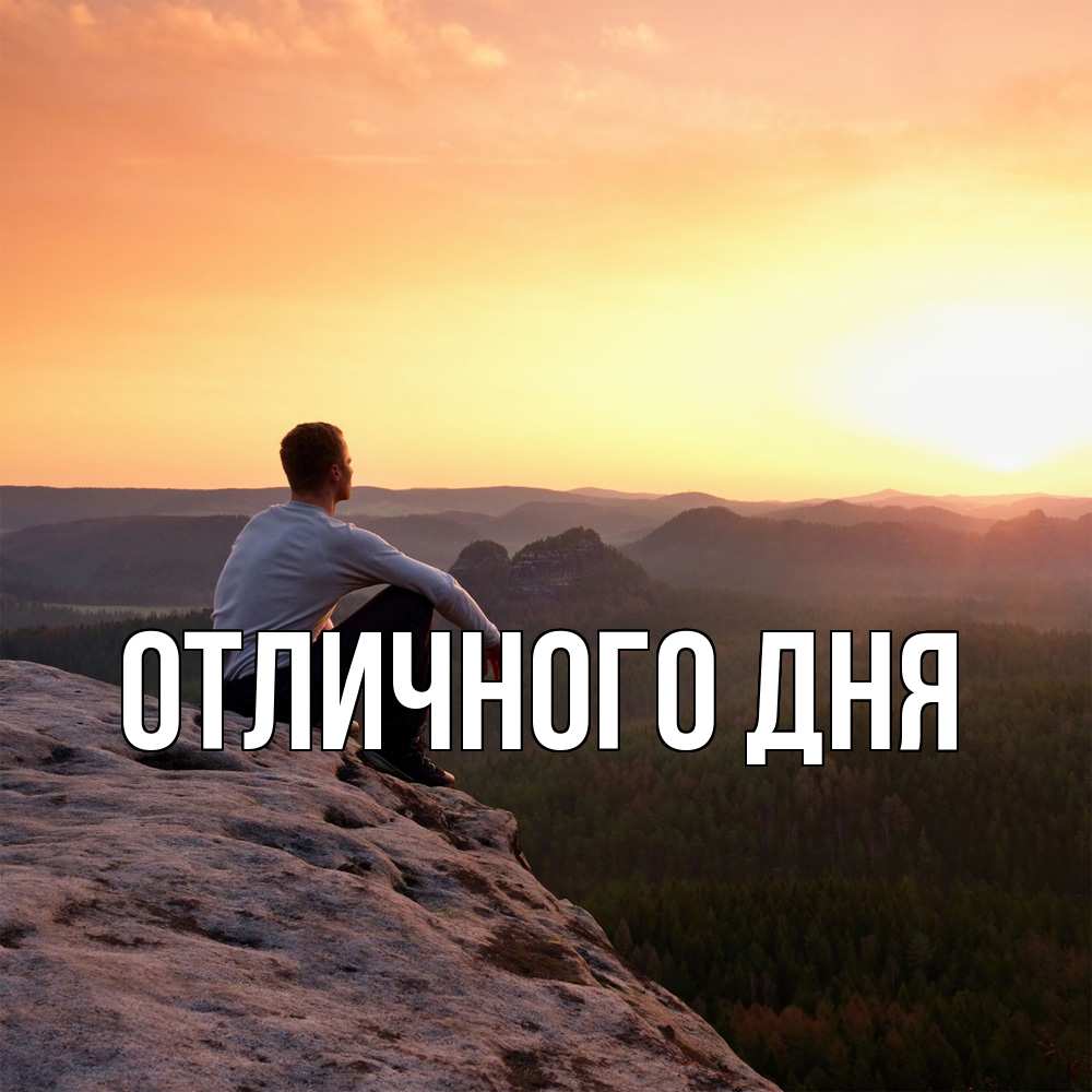 Открытка на каждый день с именем, Леся Скучашки открытка про скучашки 1 Прикольная открытка с пожеланием онлайн скачать бесплатно 