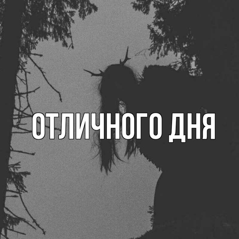 Картинка Скучашки, Леся