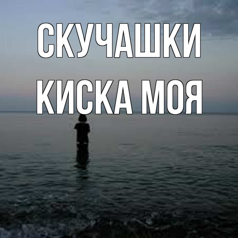 Картинка Скучашки, Киска моя