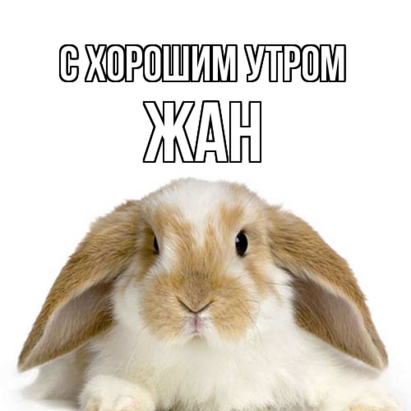 Картинка С хорошим утром, Жан