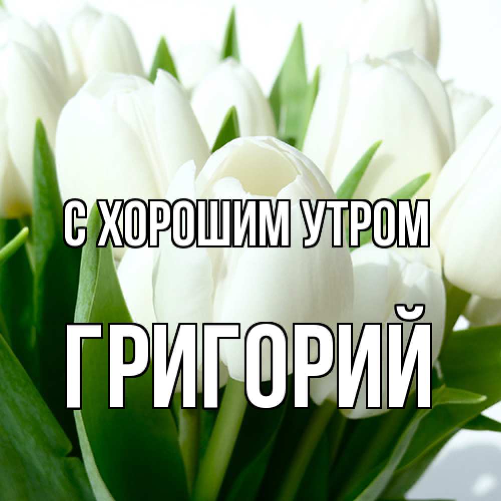 Открытка на каждый день с именем, Григорий С хорошим утром открытки на каждый день по именам Прикольная открытка с пожеланием онлайн скачать бесплатно 