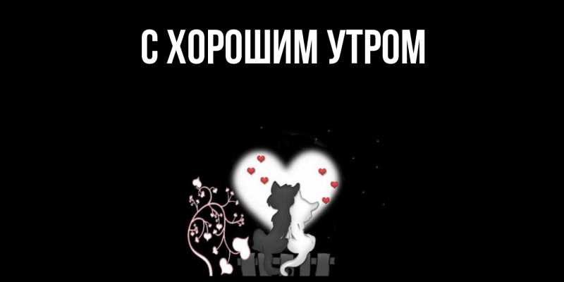 Картинка Скучашки, Рафаил