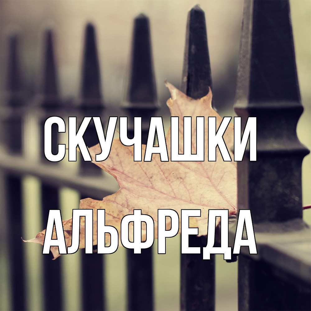 Открытка на каждый день с именем, Альфреда Скучашки очень скучно Прикольная открытка с пожеланием онлайн скачать бесплатно 