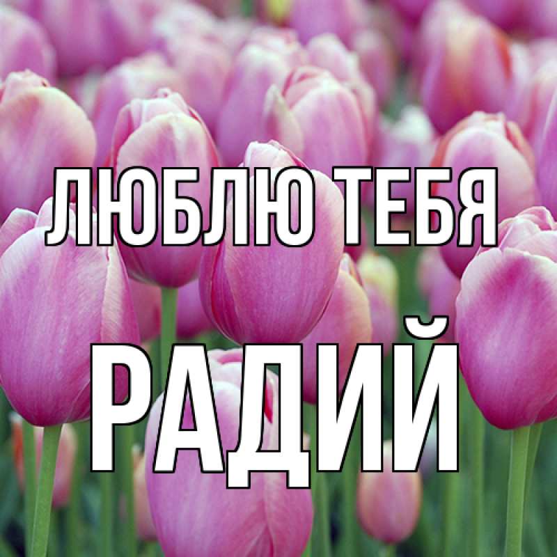 Картинка Люблю тебя, Радий