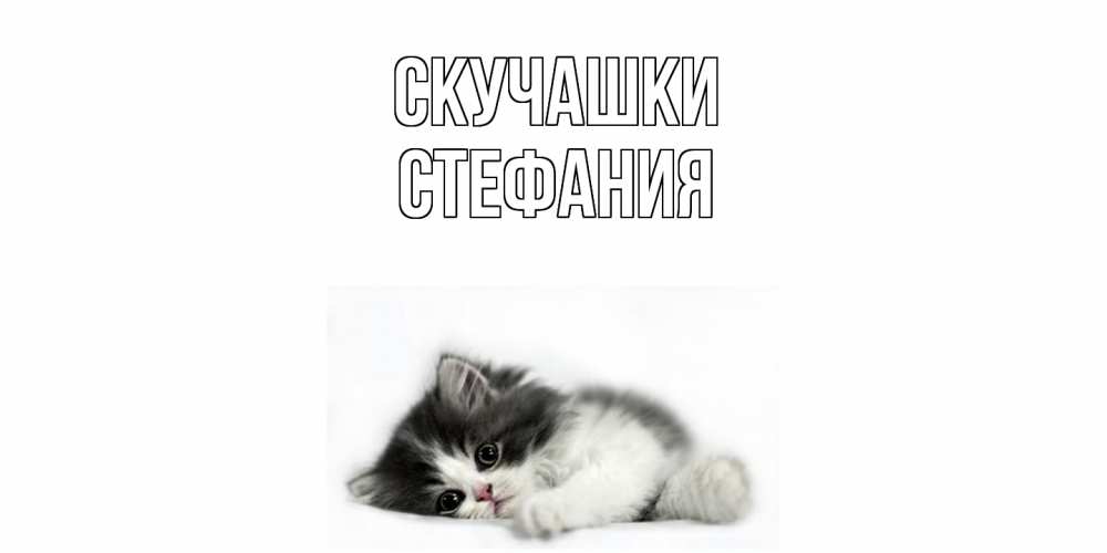 Открытка на каждый день с именем, Стефания Скучашки кот, скука Прикольная открытка с пожеланием онлайн скачать бесплатно 