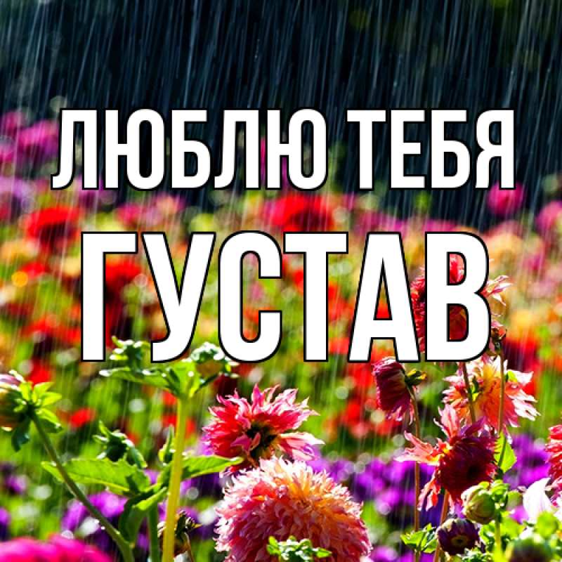 Картинка Люблю тебя, Густав