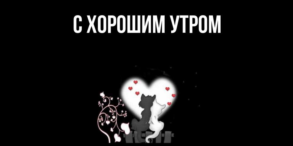 Открытка на каждый день с именем, Трифон Скучашки коты Прикольная открытка с пожеланием онлайн скачать бесплатно 