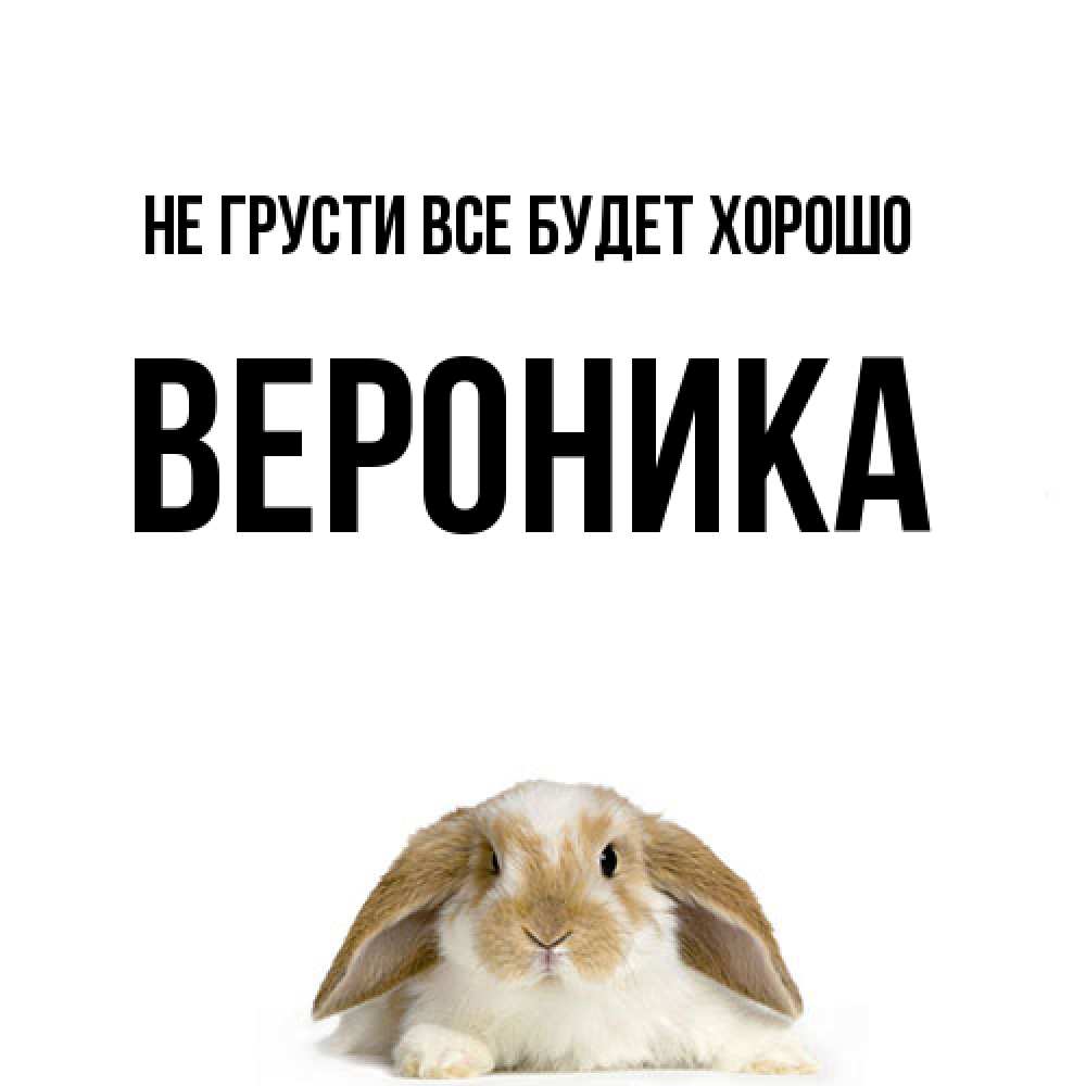 Открытка на каждый день с именем, Вероника Не грусти все будет хорошо коричнево белый заяц с большими ушками Прикольная открытка с пожеланием онлайн скачать бесплатно 