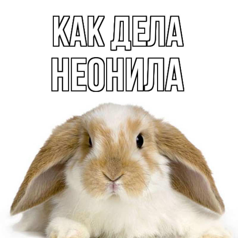 Открытка с именем, Неонила, Как дела