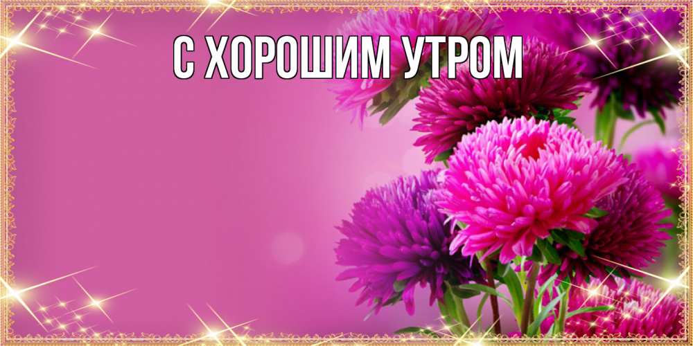 Открытка на каждый день с именем, Иван Люблю тебя садовые цветы на 8 марта Прикольная открытка с пожеланием онлайн скачать бесплатно 