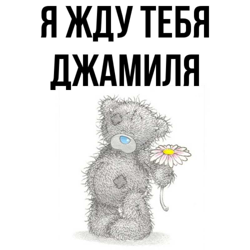 Картинка Я жду тебя, Джамиля