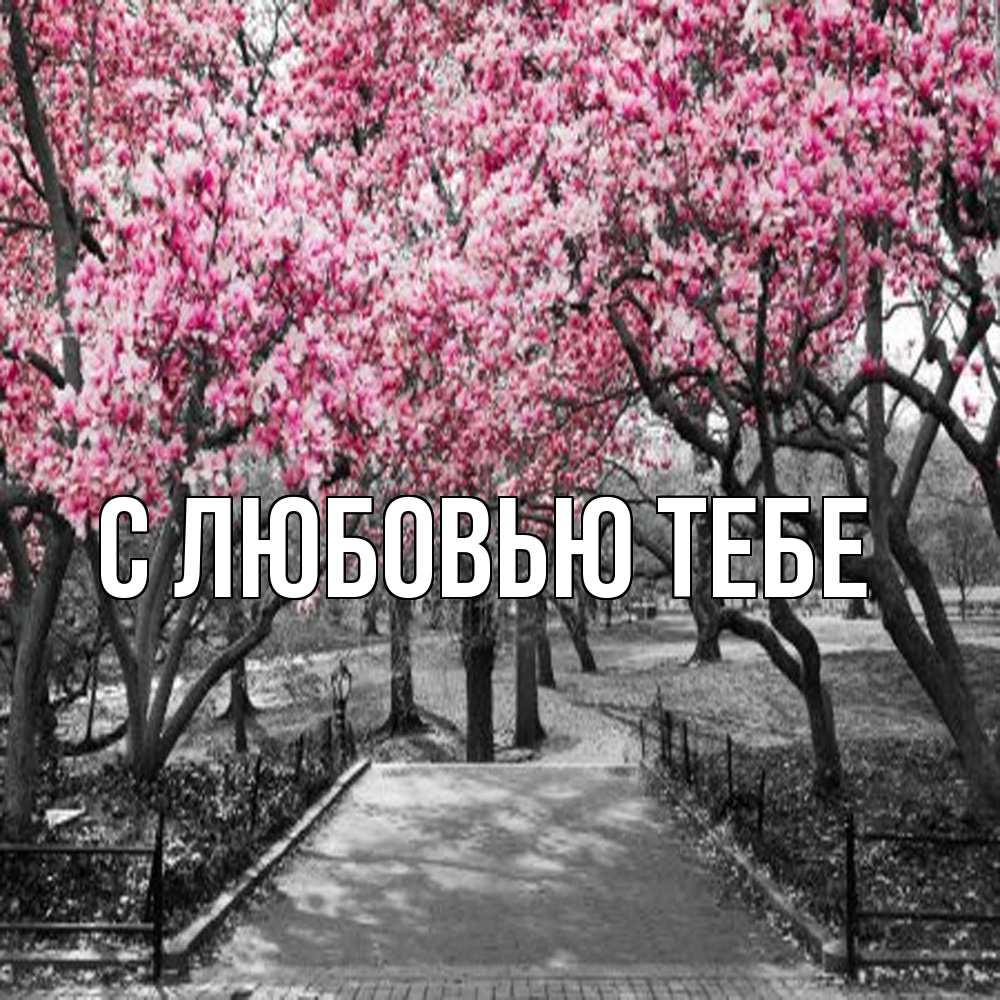 Открытка на каждый день с именем, Лёня Обнимашки обработанное фото Прикольная открытка с пожеланием онлайн скачать бесплатно 